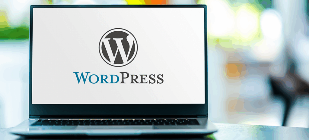 wordpress sitesi nasil kurulur 3