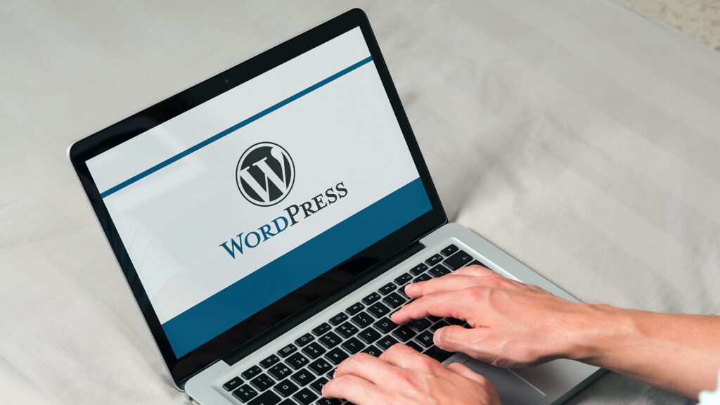 wordpress web tasarim nedir 3